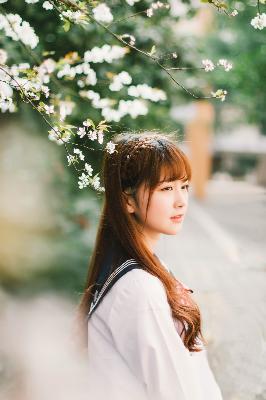 成全免费高清在线观看电视剧