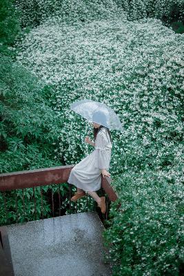 世界B美大赛图片